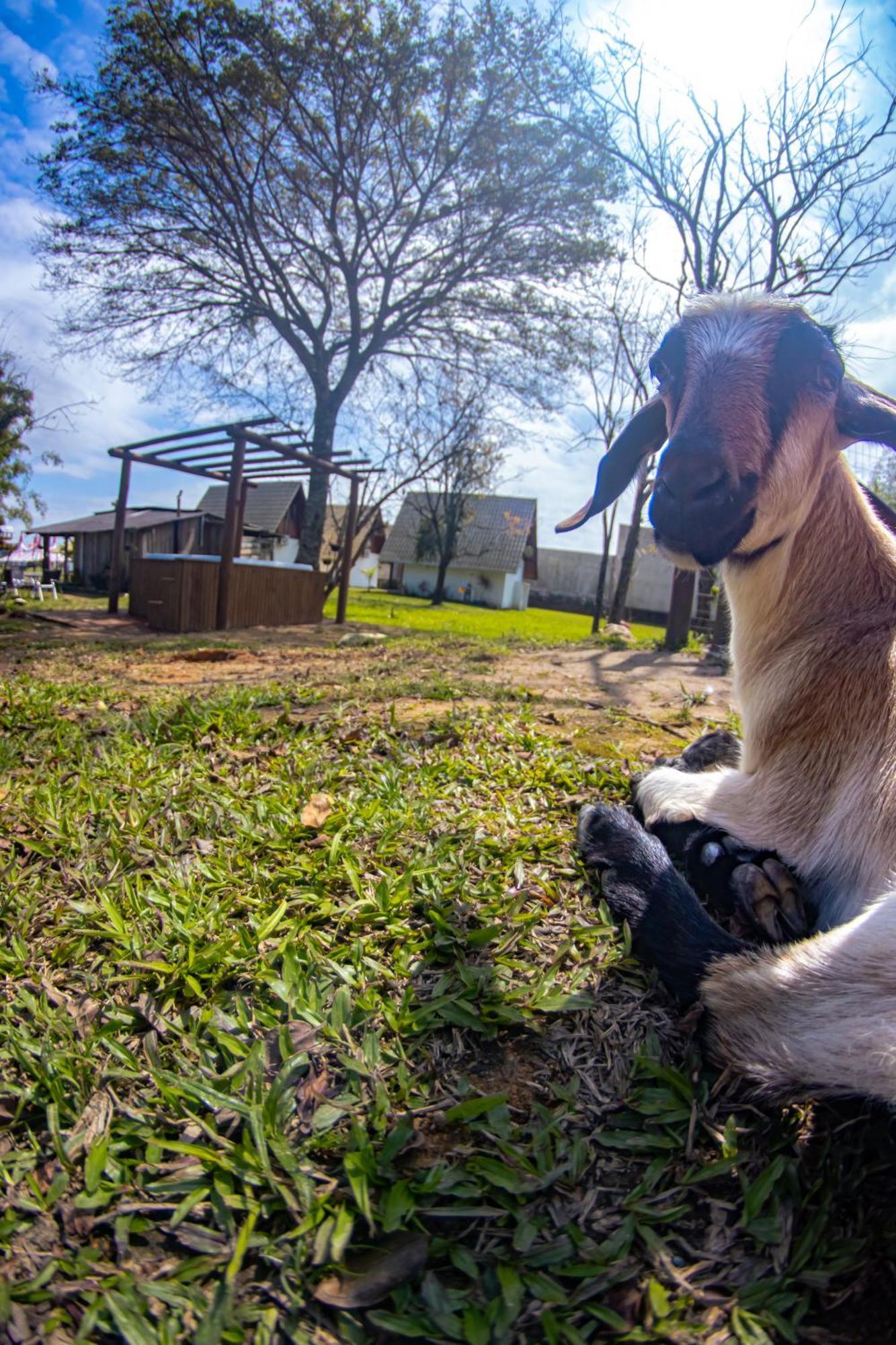 Villa Park Chales Penha  Esterno foto